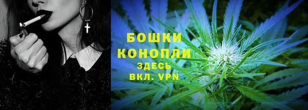 spice Бородино