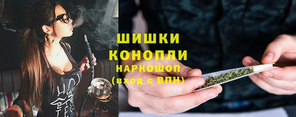 spice Бородино