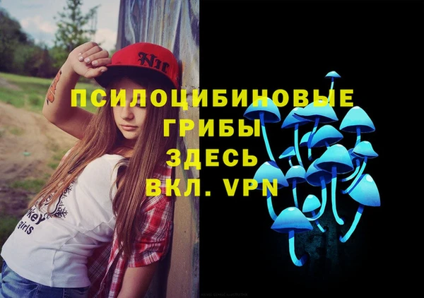spice Бородино