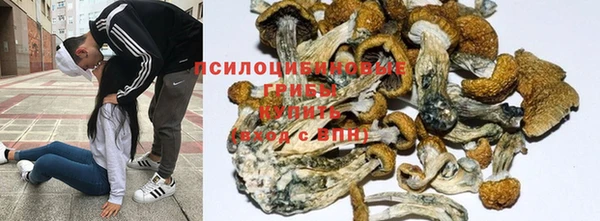 spice Бородино
