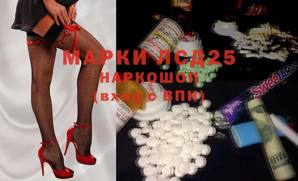 spice Бородино