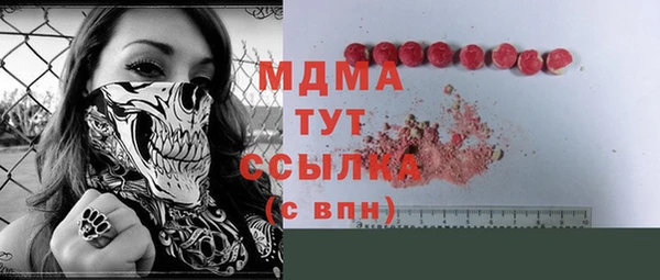spice Бородино